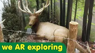Ponca AR Part 1 &bull; AGFC Elk Education Center (Ozarks)