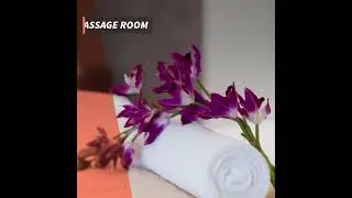 Wellness Features for a Luxury Home!