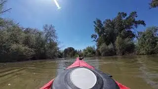 Remontada del Rivera del Hueznar desde su desembocadura en el Guadalquivir. Mayo 2025