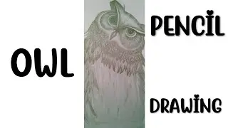 EASY OWL DRAWING 🦉.