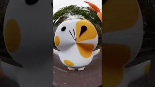 The Closest Object To Your Right Is Gonna Make You Famous! #funny #cat #animation #meme