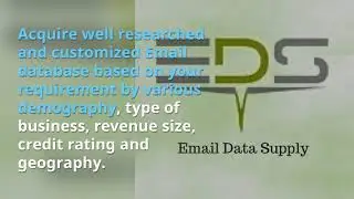 Business Mailing List & Email DataBase - Email Data Supply