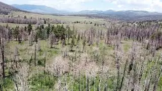 Forbes Park Drone