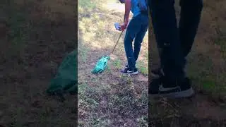#snake#discovery#🐍