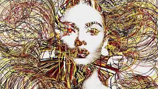 Animate Portraits 2 with Processing #creativecoding #generativeart