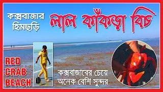 Lal Kakra Beach 2021 | লাল কাঁকড়া বিচ | Red Crab Beach | Himchori | Cox's Bazar | SayanWorld