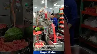 Watermelon juice machine: people processing watermelons into juice with a machine