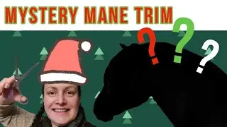 MYSTERY CHRISTMAS MANE TRIM 🎄🎅 FJORD HORSE MANE TRIMMING