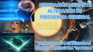 CUADERNO DE BIT&Aacute;CORA - PROGRAMA 13 -