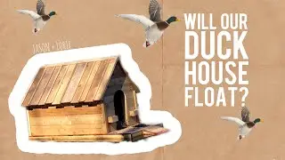 Will our DIY Duck House float or sink?!
