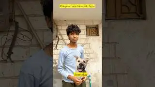 Wait for street dog🥺 #shorts #trending