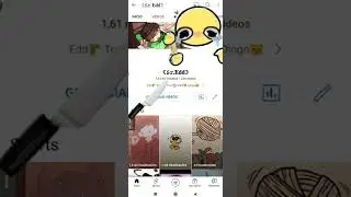 Untitled video