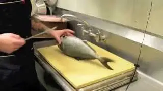 Jason Quinn - Part 1 of the fish fillet - Playground - Santa Ana CA