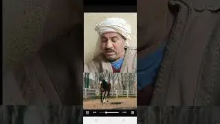 ١٥ نوفمبر ٢٠٢٥