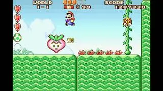 Super Mario Advance - Super Mario Bros. 2 - World 1-1 (Yoshi Egg Challenge)