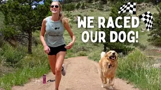 Man vs Dog - WHO&rsquo;S FASTER?