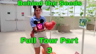 Disney World hydroponic garden tour Living with the Land and Behind the Seeds tour P3