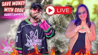 Dankin With The Flamingos LIVE Smoke Stream!