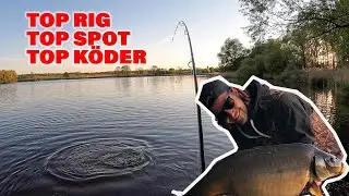Beste Montage zum Karpfenangeln. So f&auml;ngt jeder dicke Karpfen. Angeln mit den besten Boilies!
