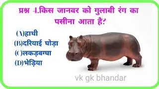 Gk question and answers long video|| gk in hindi|| gk question|| gk quiz|| gk quiz in hindi||