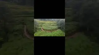 #drone #fpyシ