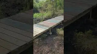 With OSG (Oneonta Susquehanna Greenway) building a bridge on the Roundhouse Trailv