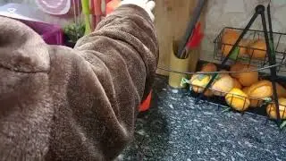 روتين يوم ف حياه ام لطفلين وحامل ومحتاسه ٠٠🙆🥺