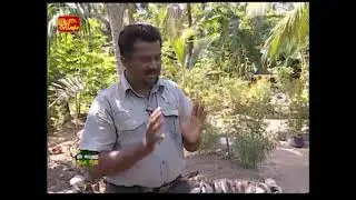 GROW BIOINTENSIVE @ Bed preparation part 1