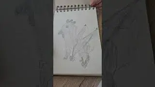 Scratch book drawing #kidsdrawing #drawing #creativejoykids #art #animaldrawing #funtime #creative