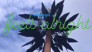 ODDIIISEE - Feels Alright