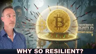 Retail is Out: Why Bitcoin Isn't Crashing