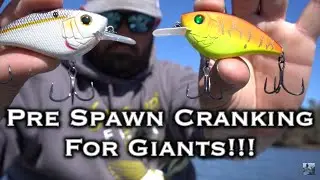 Lake Fork Winter Bass Fishing Tips For Giants: Prespawn Crank Bait How Too!!!