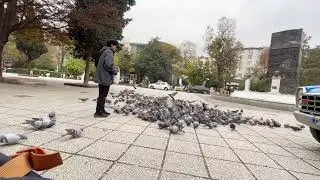 &ldquo;Calming Bird Feeding Moments You Need to See Today!&rdquo;