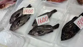 道の駅笠岡ベイファーム鮮魚コーナー1／２４