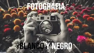 FOTOGRAFÍA EN BLANCO Y NEGRO: CONSEJOS Y TRUCOS PARA CAPTURAR LA ESENCIA