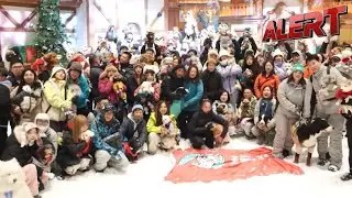 Shanghai Indoor Ski Resort Hosts Pet Only Snow Day For Dogs And Owners | ALERT News