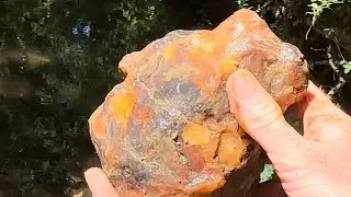 ⭐️ Defined Fresh Artifacts and Archaeological VLOG.