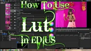 Edius 8 PRo Lut How to Use