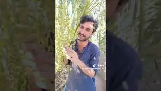 hi we pardes Sanghat Kamal muhabta.chainal.ko.sabscrip.lazmi.kreso.🙏💯🥰🥀#viralvideo