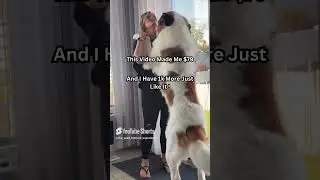This Pet Video Made Me $42 Without Talking or Editing #shorts #petfluencer #shortsmonetization