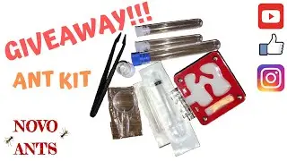 GIVEAWAY COMPETITION! Ant Keeping Kit - Closed!!!!