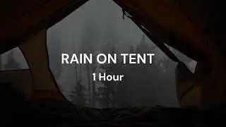 Rain On Tent - Green noise for sleep
