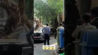 Tree collapses in Bangalore, Lavelle road, fully damaging a car #bangalore #danger #accidenttruck