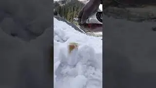old monk in snow #shorts #youtubeshorts #manali #ladakh #oldmonk #snow