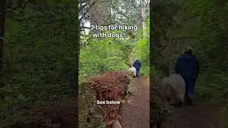 hiking with dogs | trail manners | indian-american RVers | travel pups