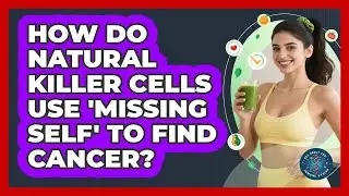 How Do Natural Killer Cells Use 'missing Self' To Find Cancer? - All About the Immune System