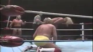 Ted DiBiase & Terry Taylor vs. Freebirds-Whipping Match