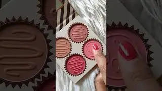 BH cosmetics chocolate cherry truffle blush swatches |2022