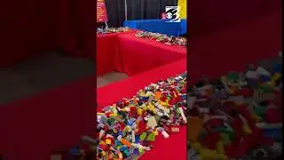 BrickUniverse brings LEGO fan experience to Kalamazoo