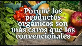 Porqu&eacute; los productos org&aacute;nicos son m&aacute;s caros que los convencionales